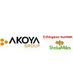 Setting the Standard in Addis Ababa Real